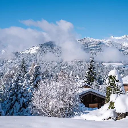 Appartement Flat Simba - - Mont D'arbois Megève