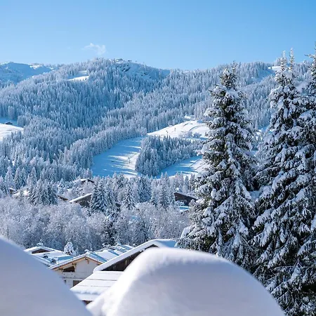 Appartement Flat Simba - - Mont D'arbois Megève